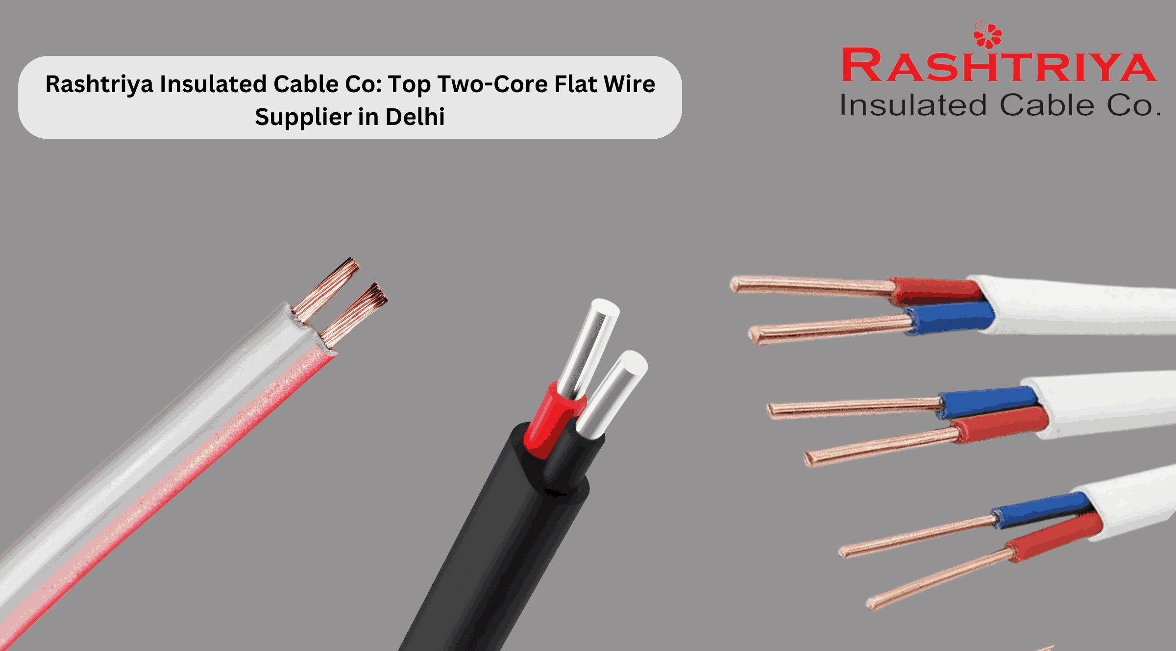 Two-Core Flat Wire Supplier in Delhi